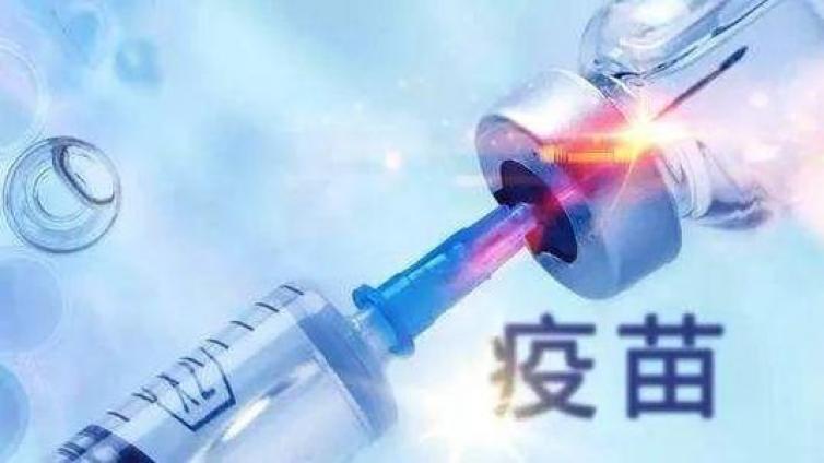 【最智慧商学院】一针难求堪比春运抢票 黄牛党也加入了！流感疫苗预约爆满 主力抄底疫苗龙头