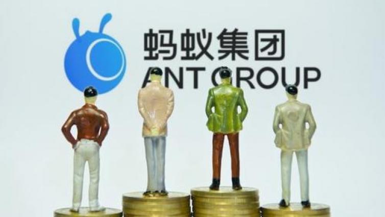 【最智慧商学院】1360万蚂蚁战配基金持有人今起可选择退出