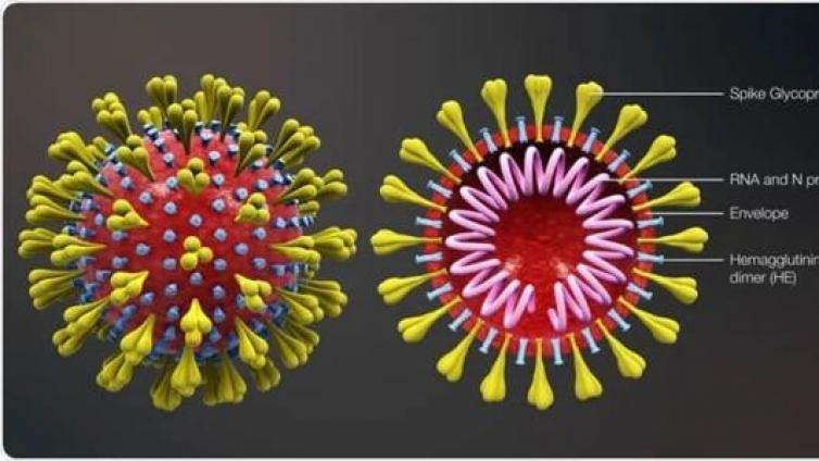 【最智慧商学院】变异扩散！非洲惊现严重变异病毒，南非遭8国禁飞！欧股暴跌，美股却绝地反击，拜登接种疫苗，A股安好？