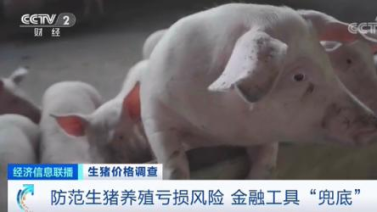 【最智慧商学院】猪肉价格跌破8元！均价同比“腰斩”！接下来怎么走？