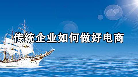 黄若：传统企业如何做好电商